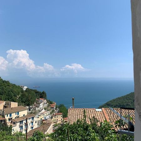 Pippo'S House Villa Vietri Esterno foto